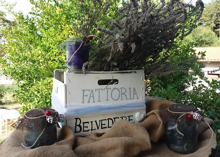 Fattoria Belvedere
